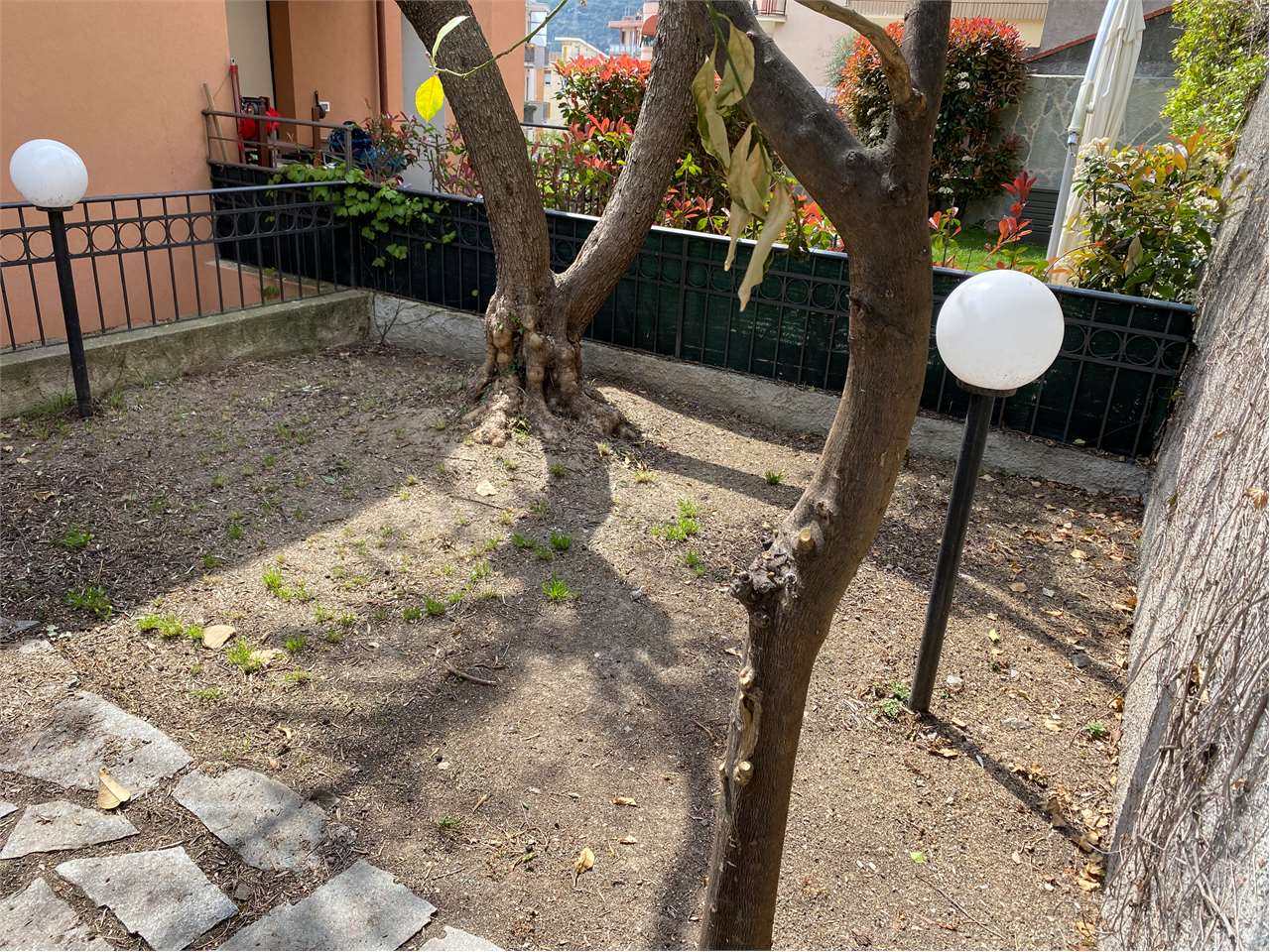 immagine annuncio 1 di 12