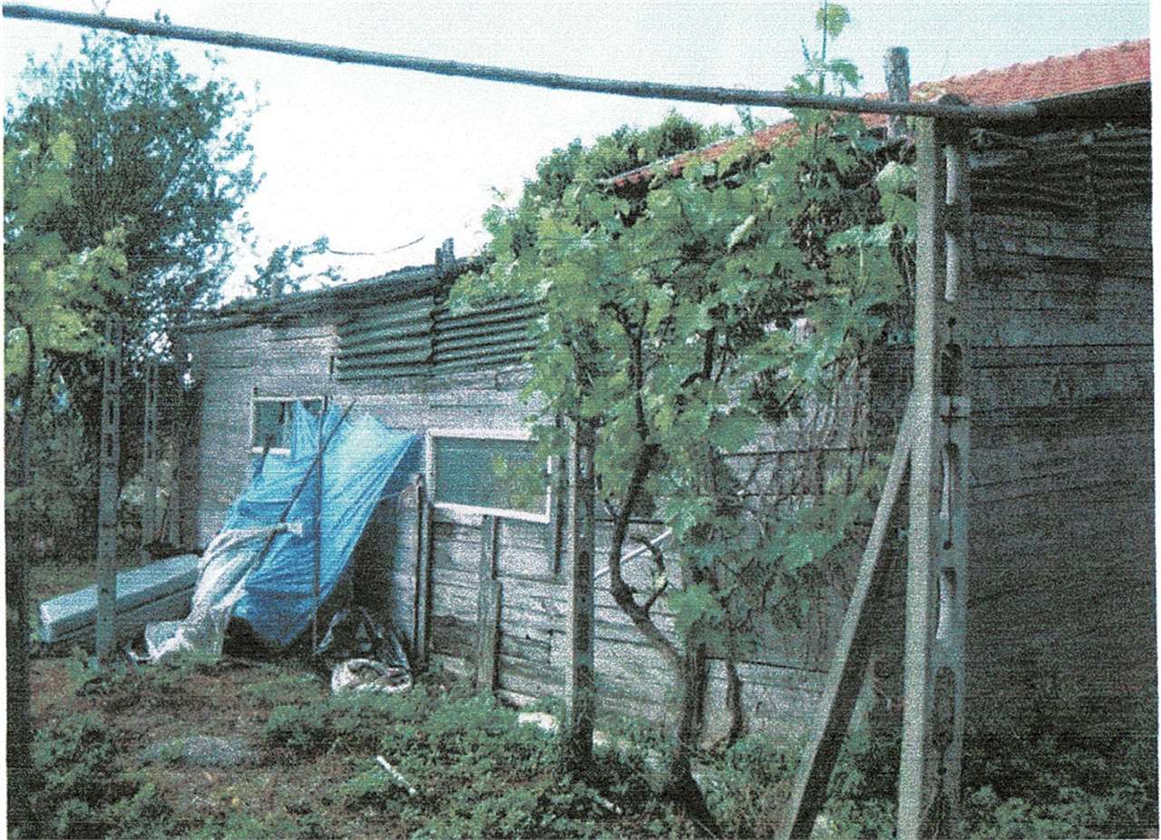 immagine annuncio 6 di 9