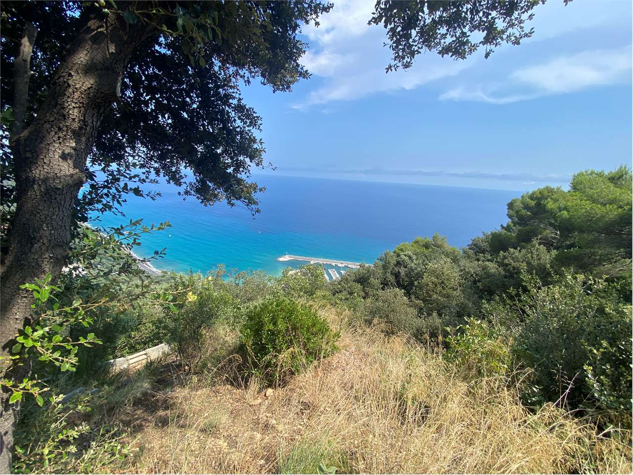 immagine annuncio 2 di 8