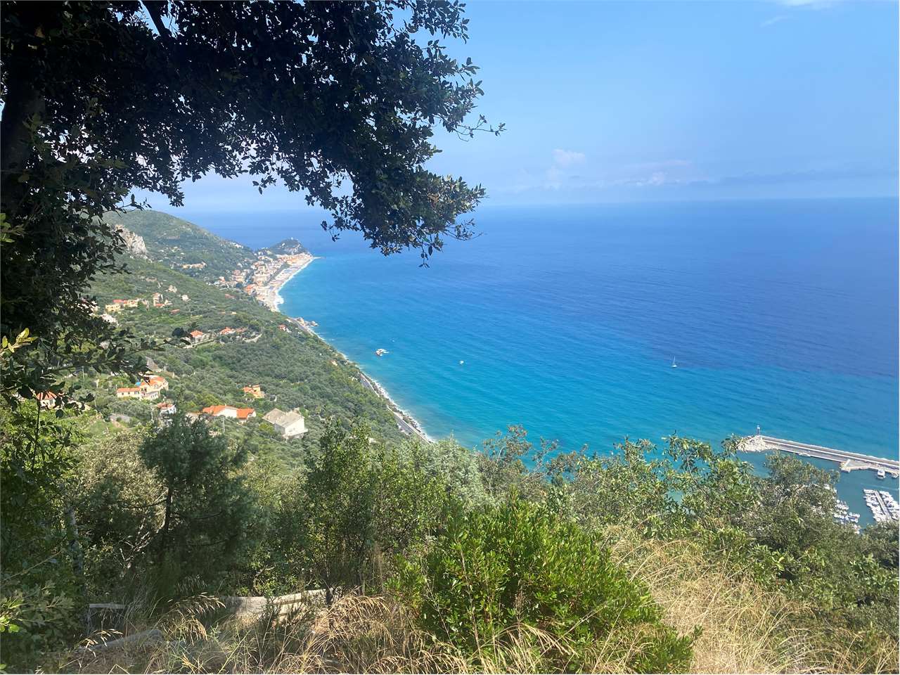 immagine annuncio 4 di 8