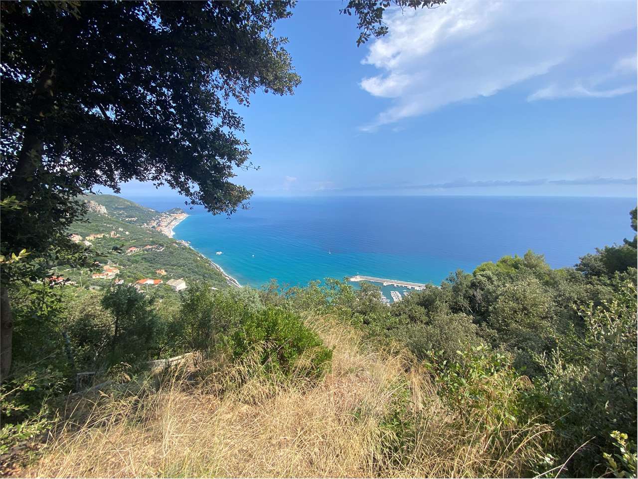 immagine annuncio 5 di 8