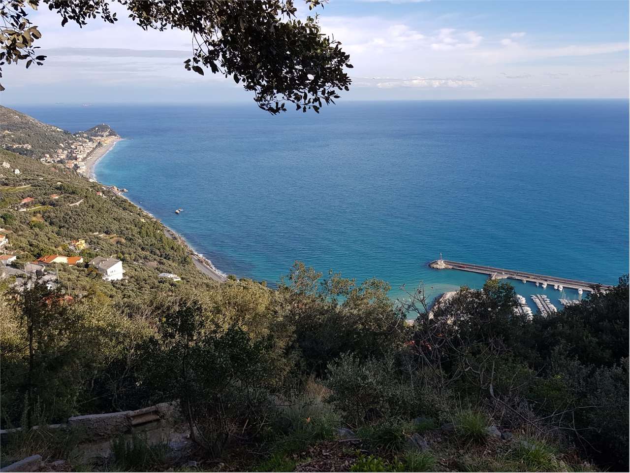 immagine annuncio 10 di 11