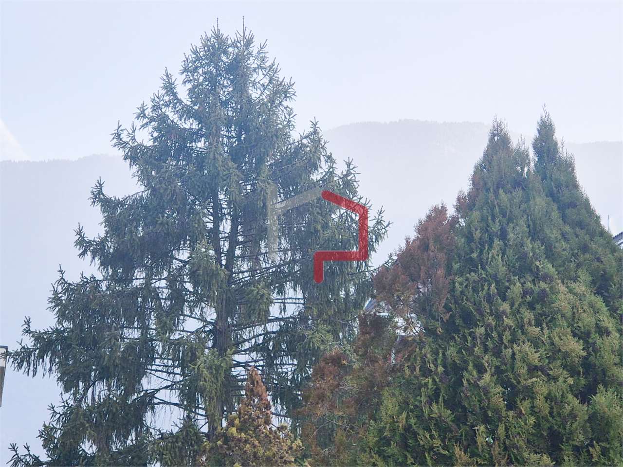 Appartamento in vendita a Laives/leifers (BZ)