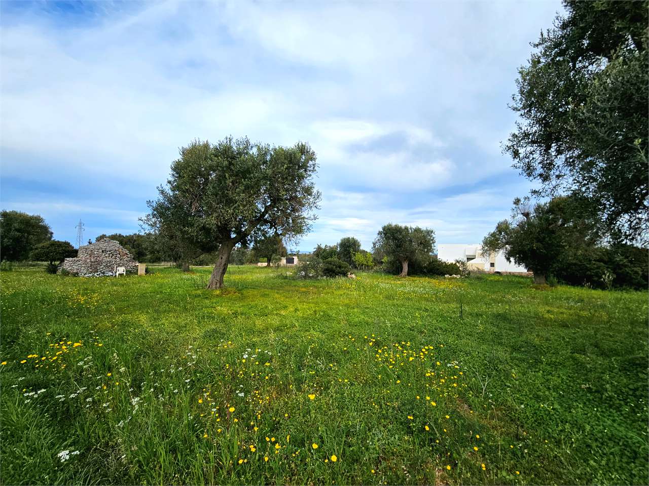 immagine annuncio 5 di 9