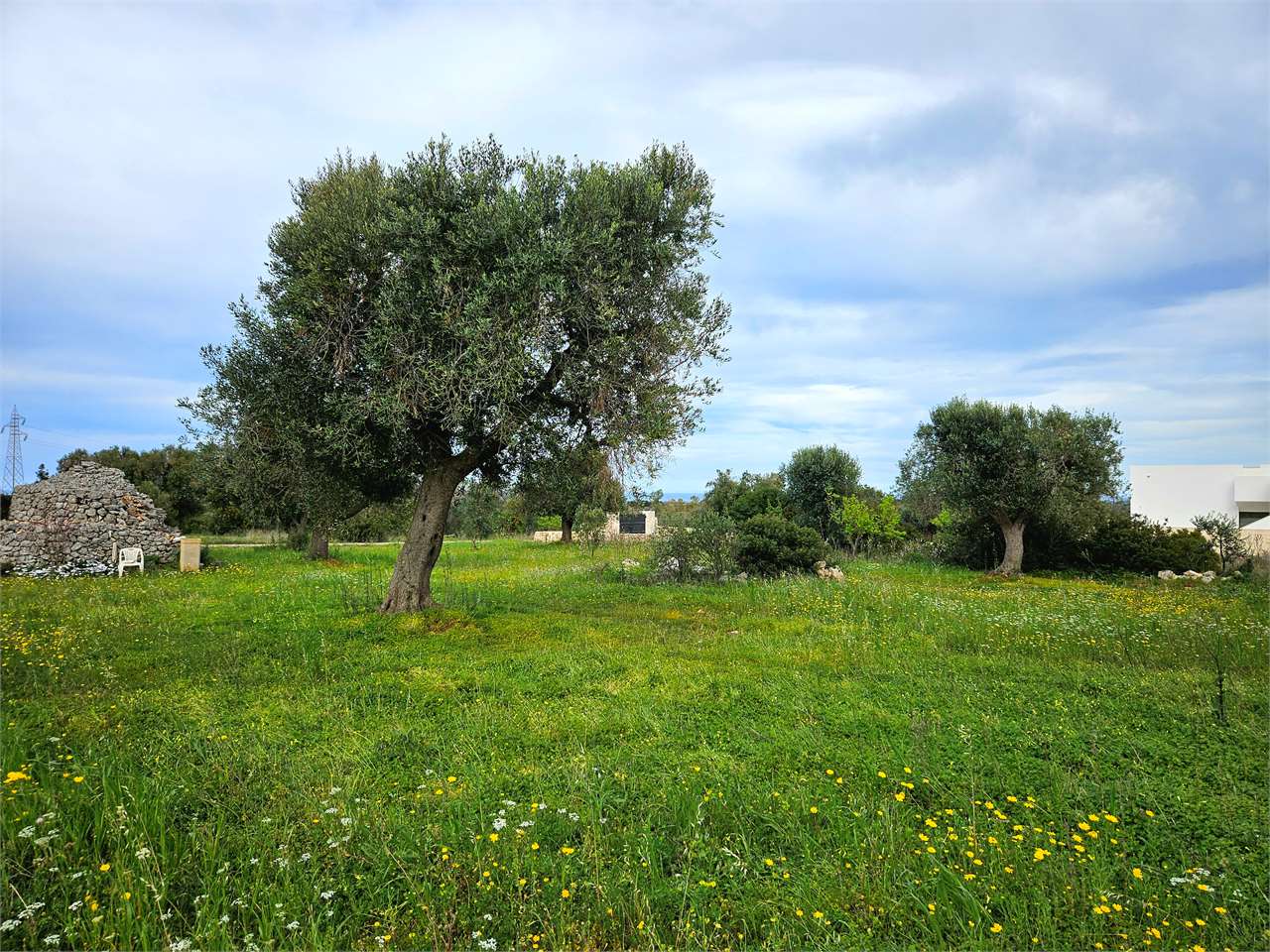 immagine annuncio 6 di 9