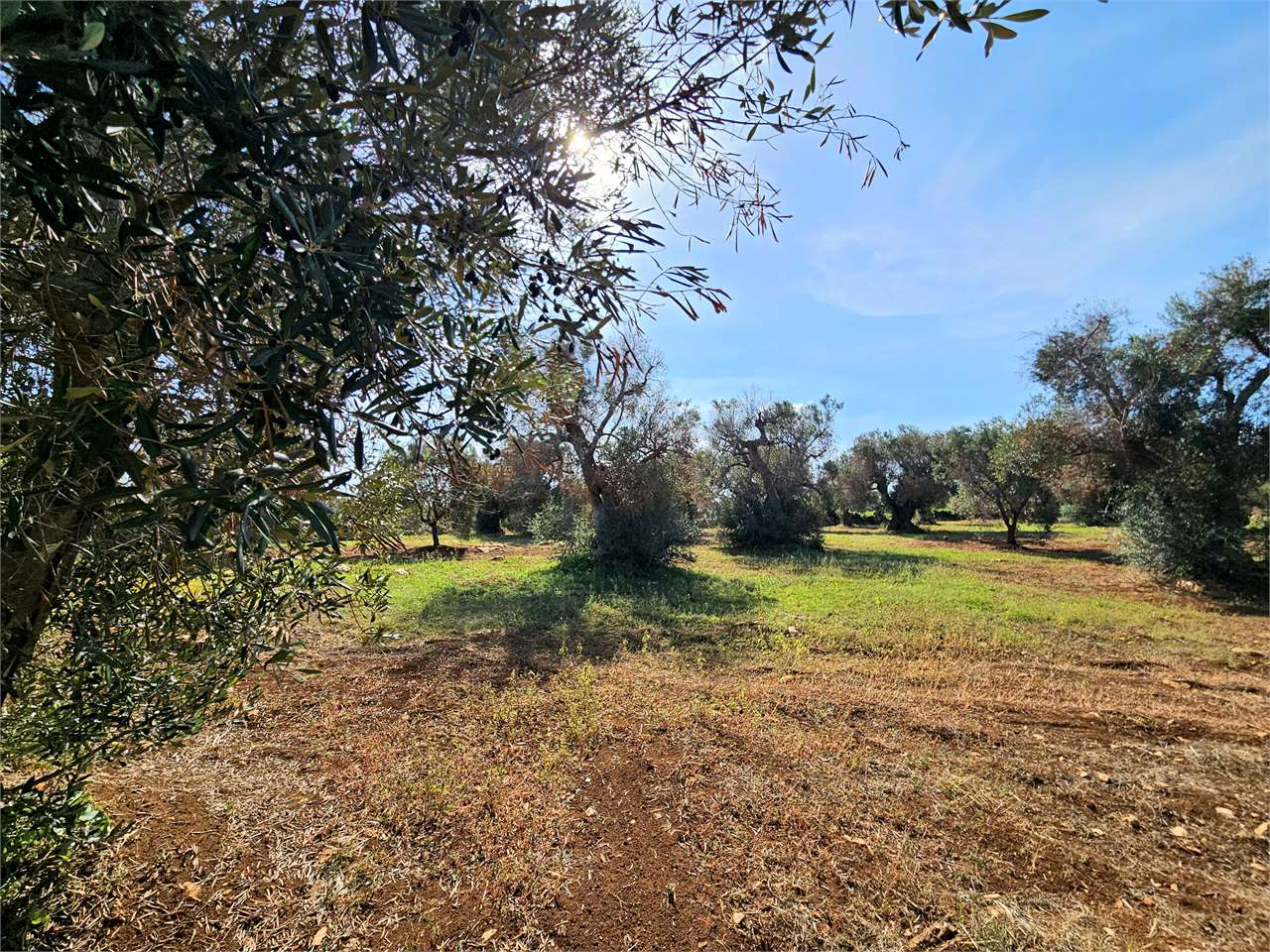immagine annuncio 8 di 13