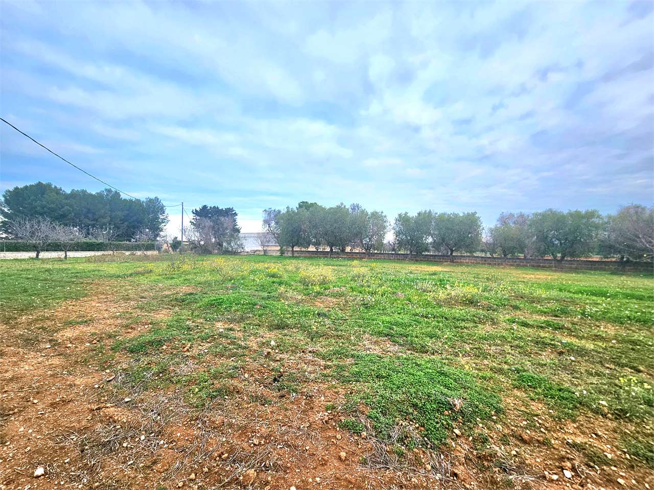 immagine annuncio 1 di 6