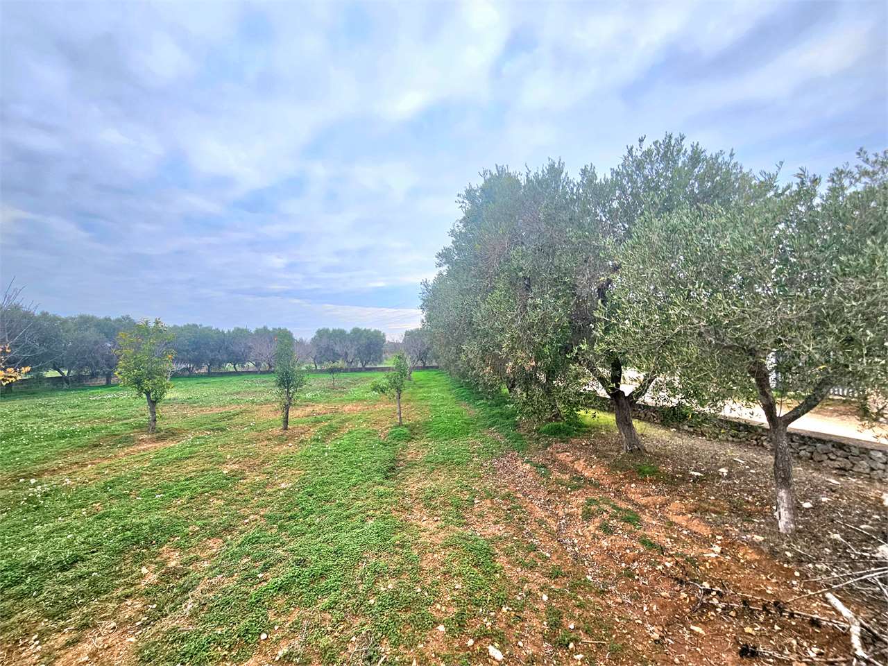 immagine annuncio 4 di 6