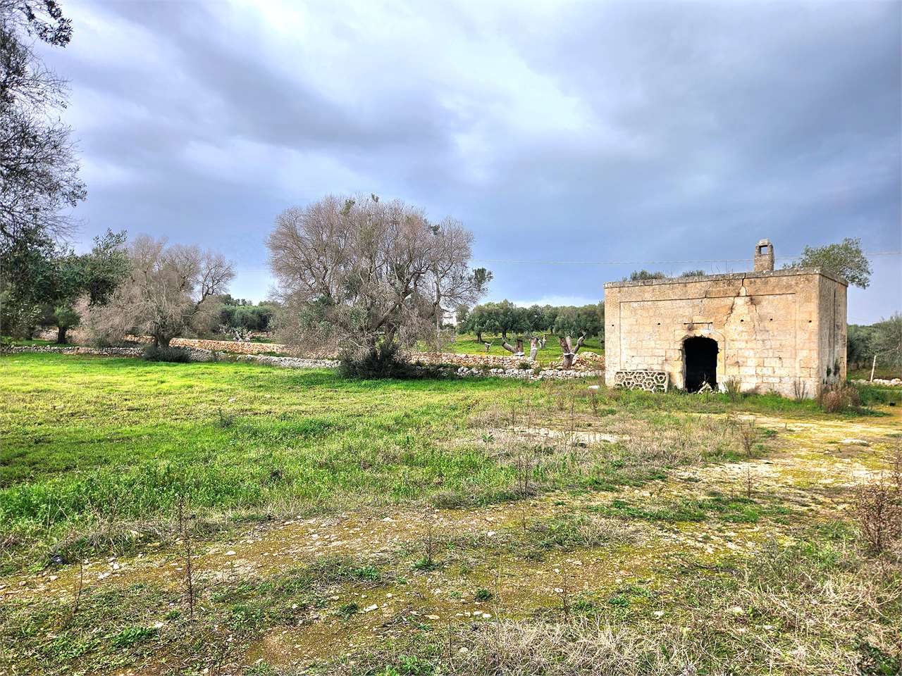 immagine annuncio 2 di 14