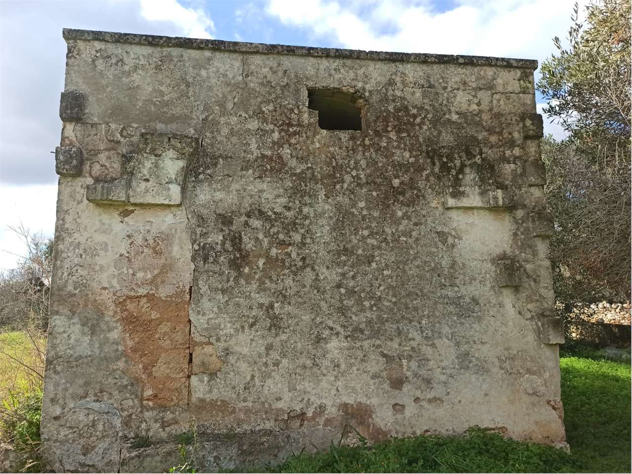 immagine annuncio 2 di 6