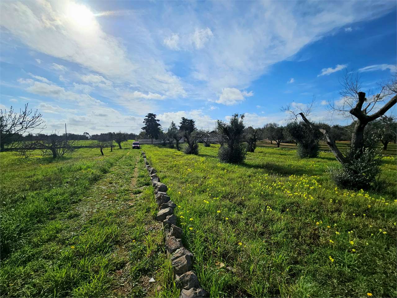 immagine annuncio 5 di 12