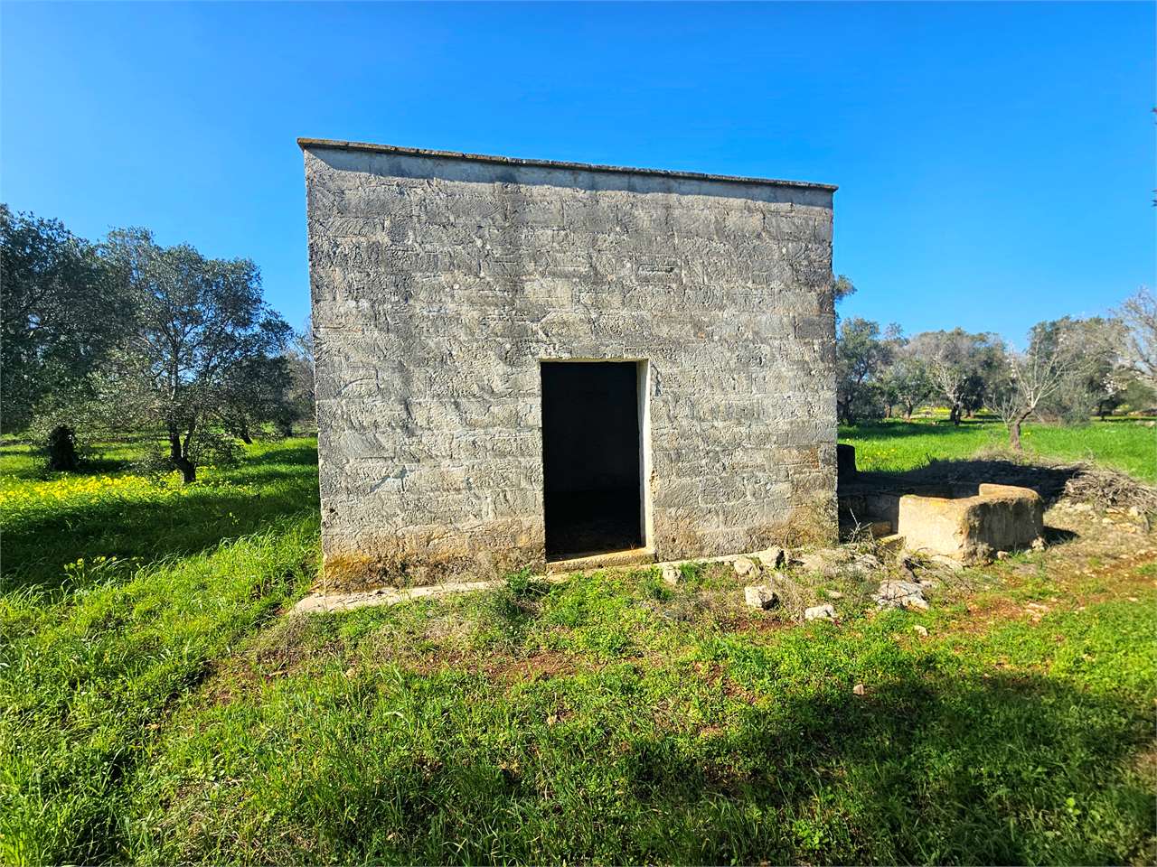 immagine annuncio 11 di 15