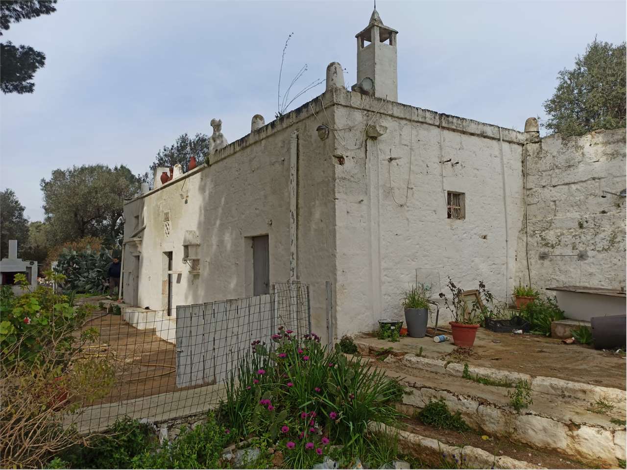 immagine annuncio 1 di 15