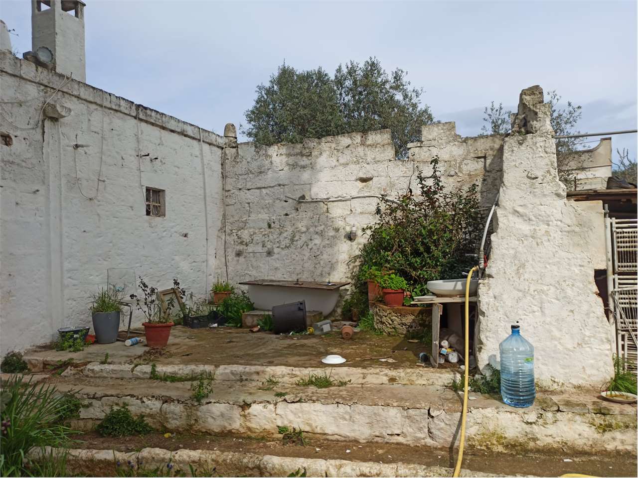 immagine annuncio 10 di 15
