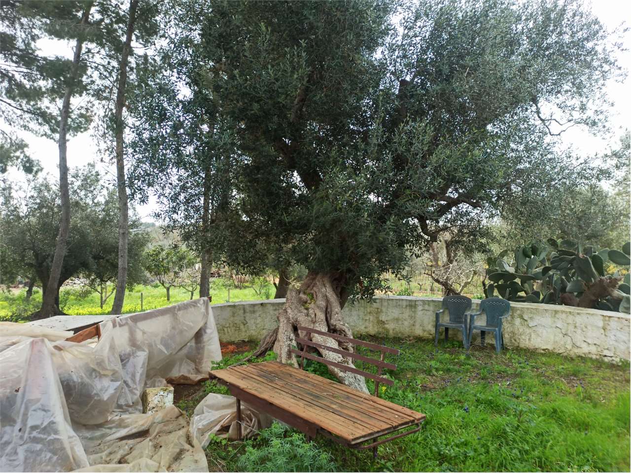 immagine annuncio 14 di 15