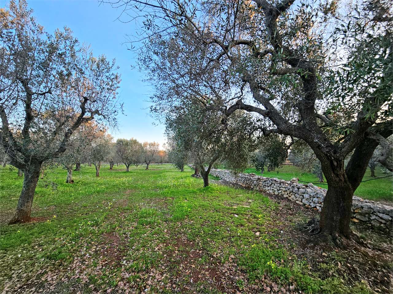 immagine annuncio 2 di 14