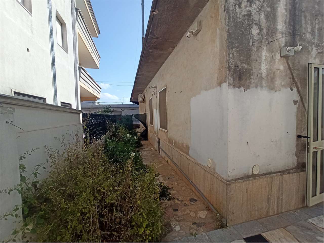 immagine annuncio 9 di 14