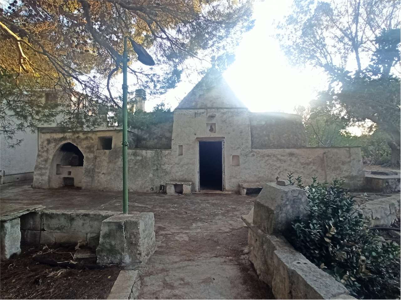 immagine annuncio 10 di 15