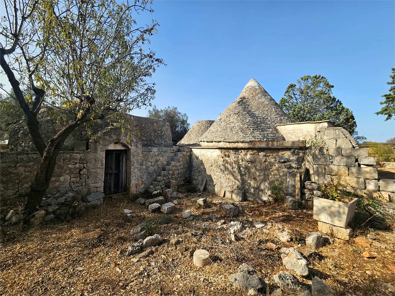 immagine annuncio 8 di 15