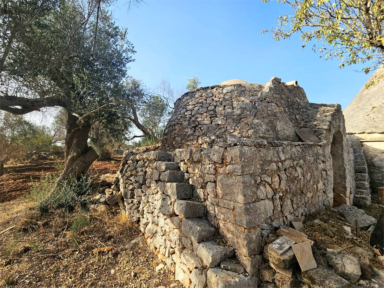 immagine annuncio 10 di 15