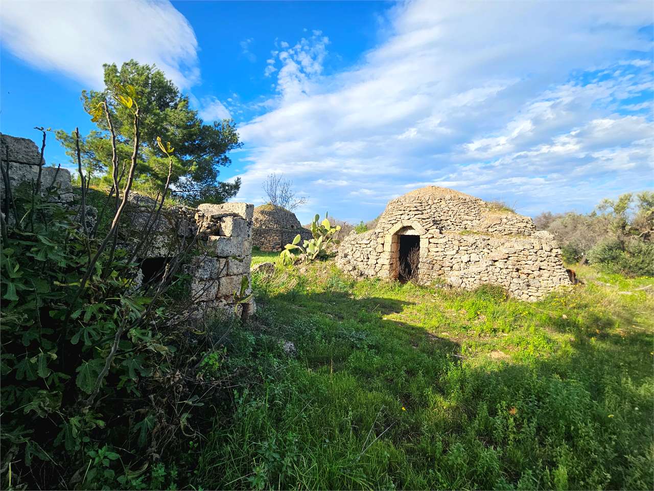 immagine annuncio 10 di 15