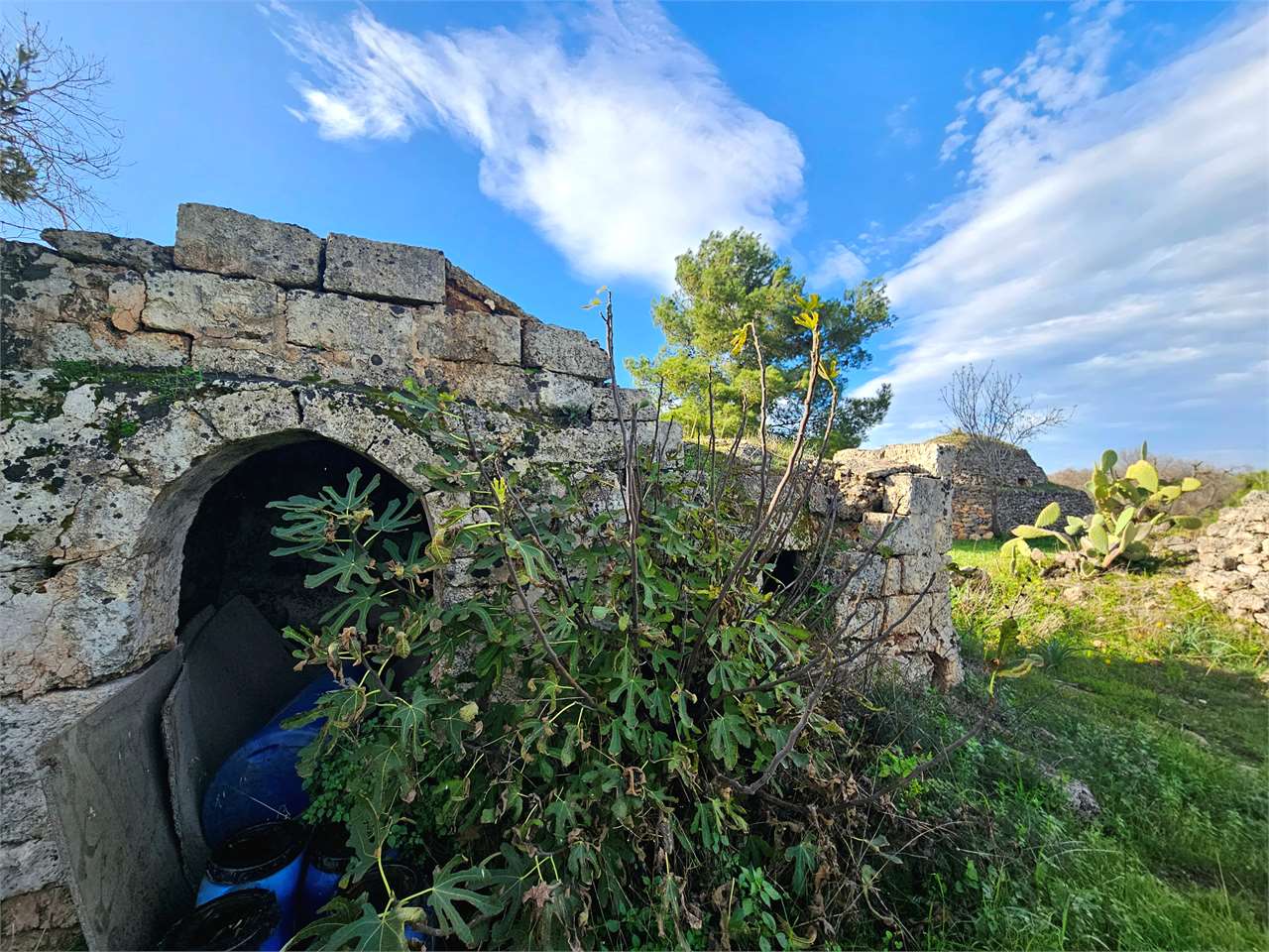 immagine annuncio 11 di 15