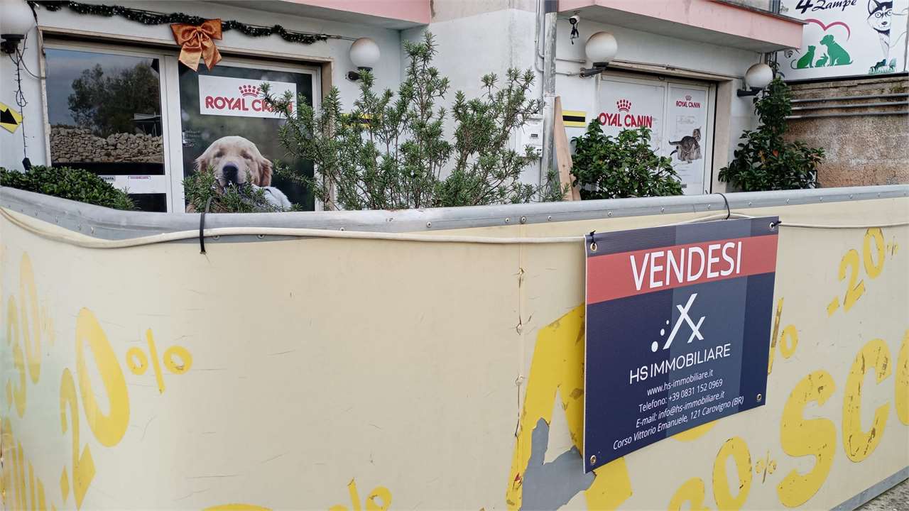 immagine annuncio 6 di 7