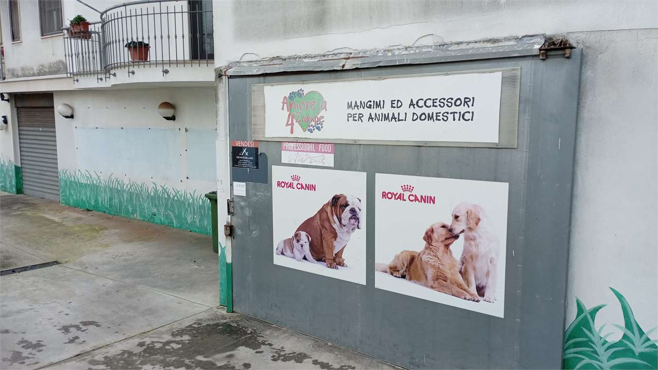 immagine annuncio 5 di 7