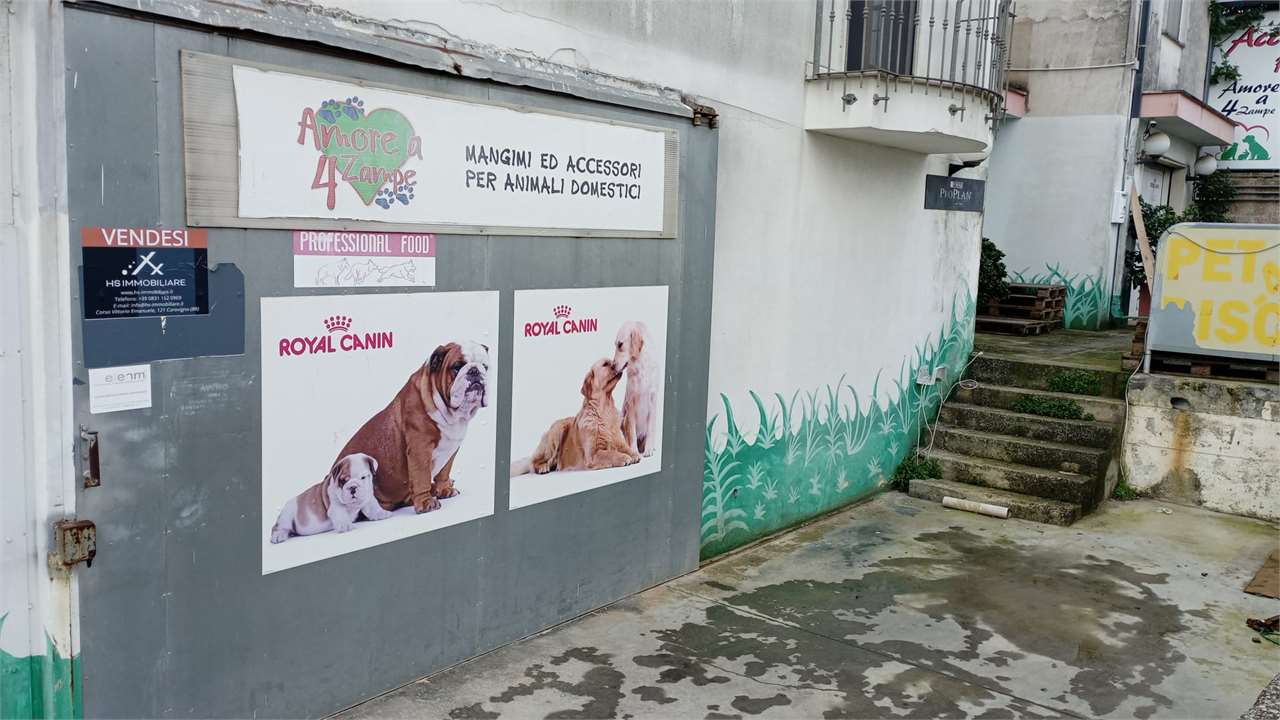 immagine annuncio 3 di 7