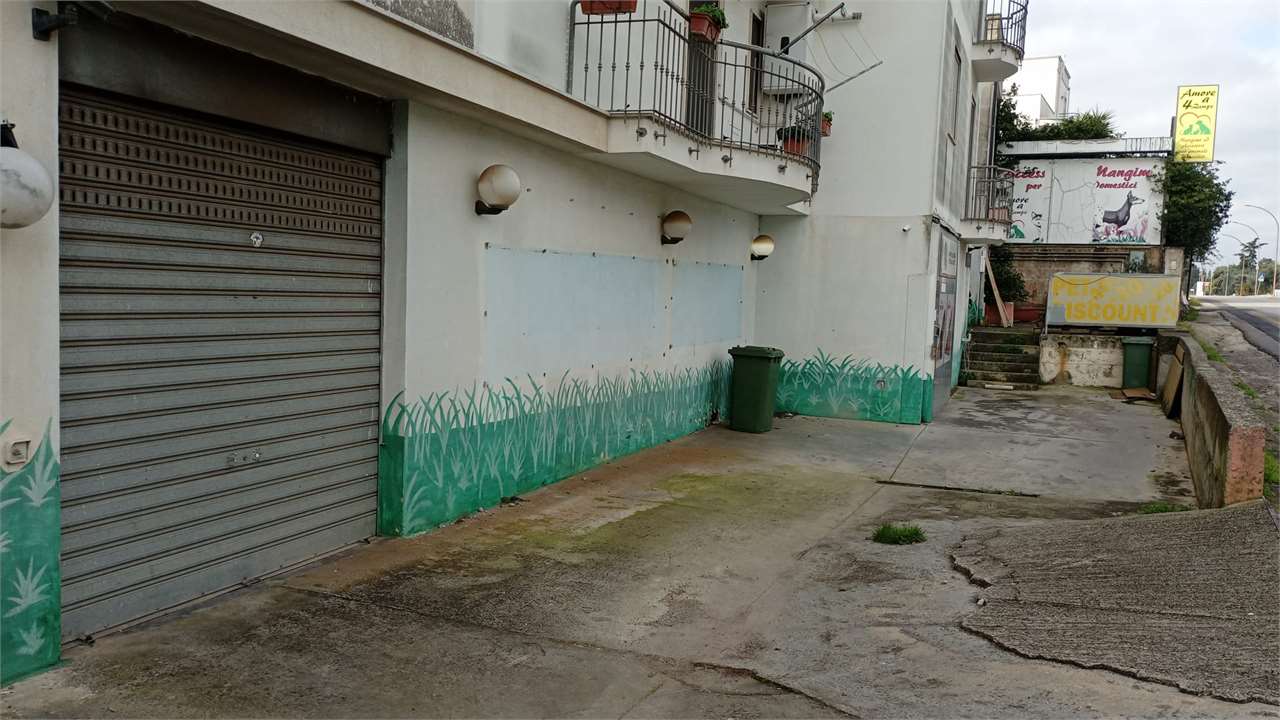 immagine annuncio 4 di 7