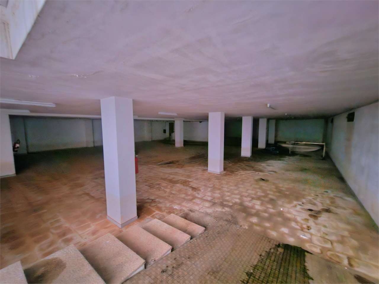 immagine annuncio 5 di 7