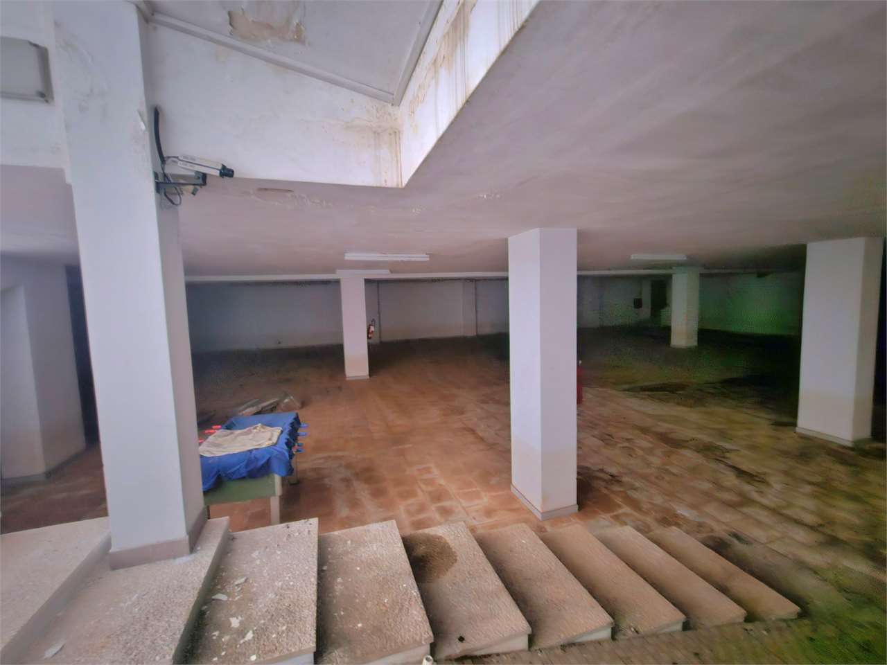 immagine annuncio 6 di 7