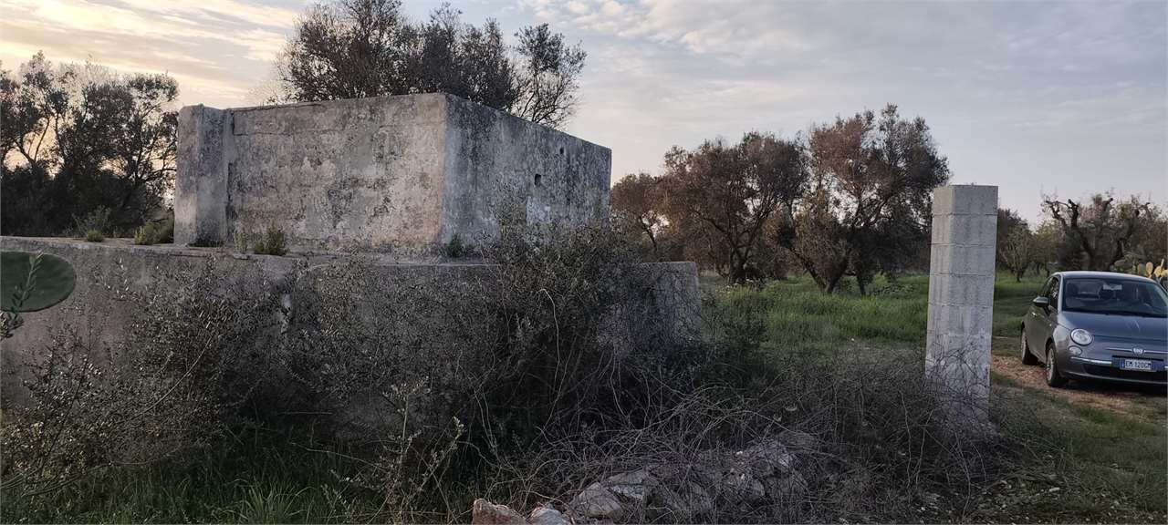 immagine annuncio 4 di 11