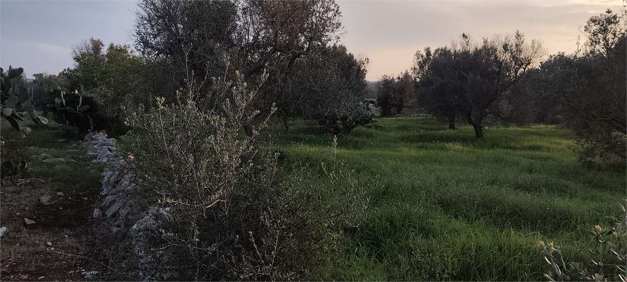 immagine annuncio 8 di 11