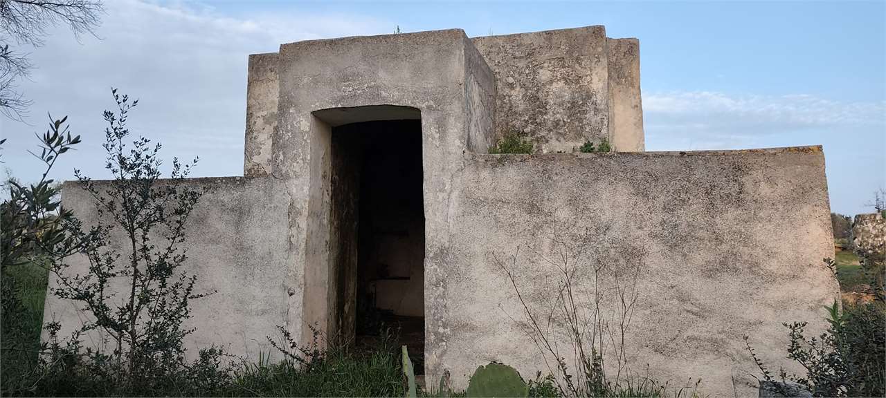 immagine annuncio 1 di 11