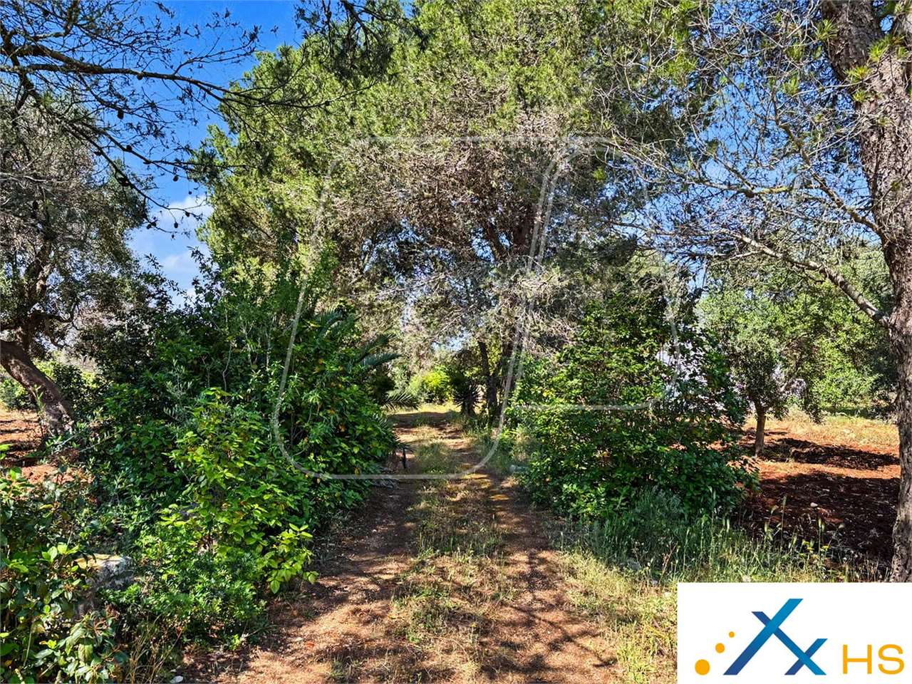 immagine annuncio 5 di 6