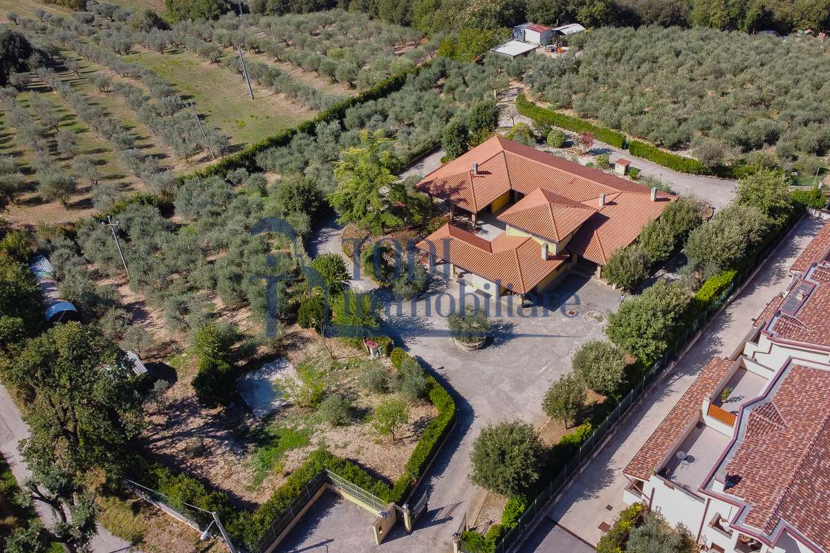 Sono disponibili 10 immagini