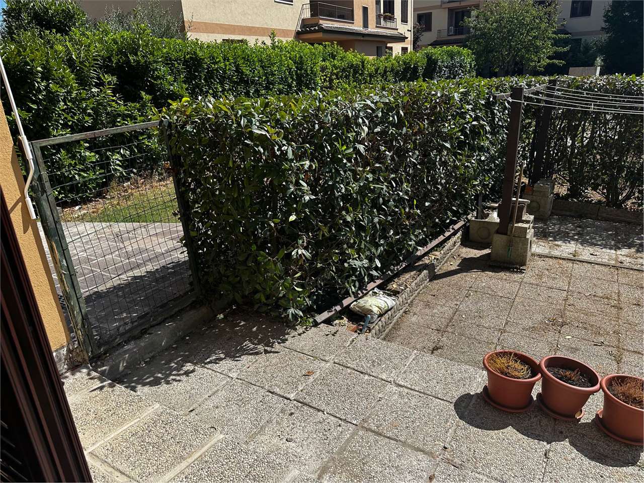 imm_6636-20250723095600-1280-.jpg