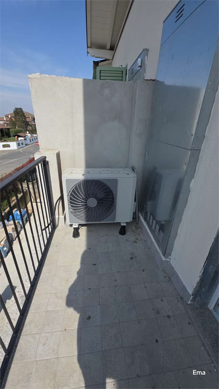 imm_7706-20260519121820--1280.jpeg