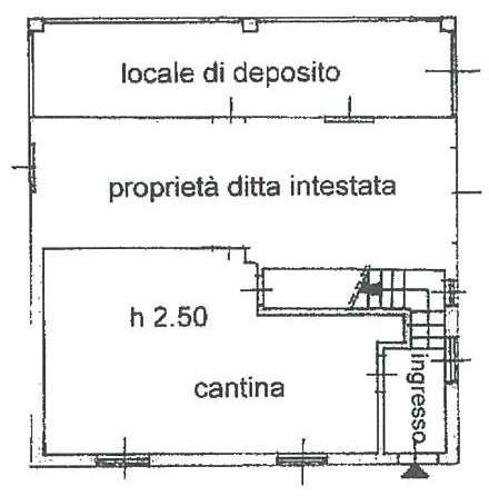 imm_7783-20260526104243--446.JPG