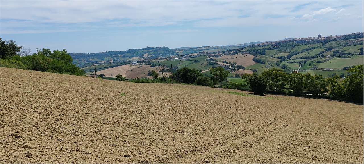 immagine annuncio 6 di 14