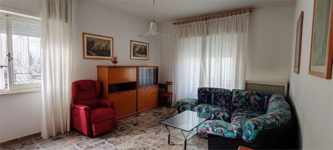 immagine annuncio 7 di 13