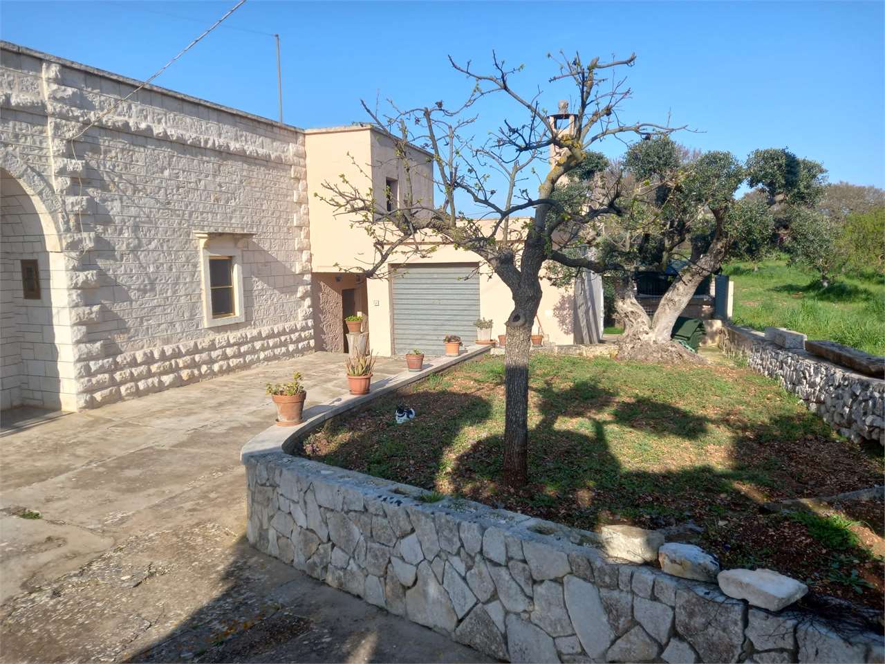 immagine annuncio 7 di 15