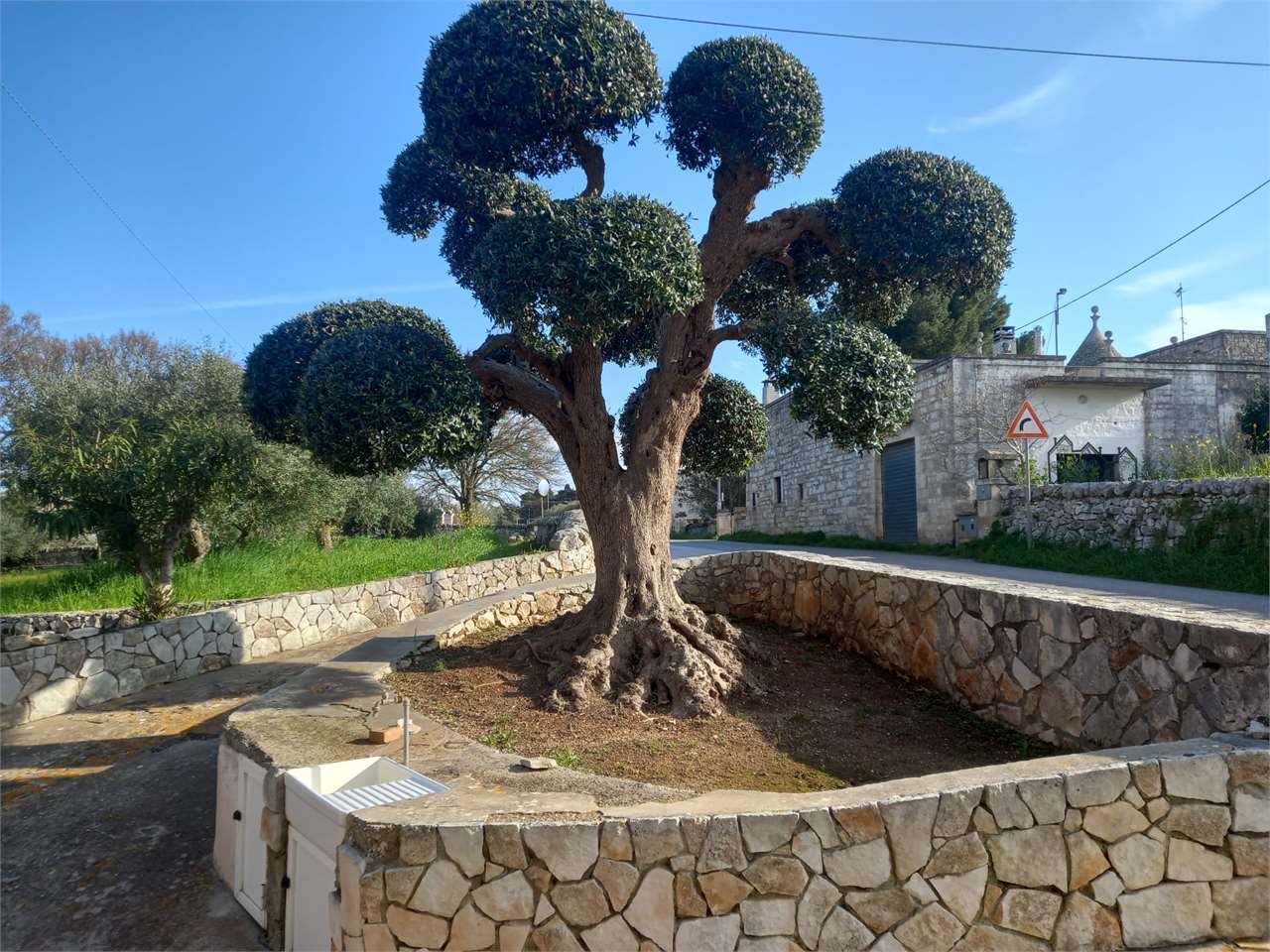 immagine annuncio 9 di 15