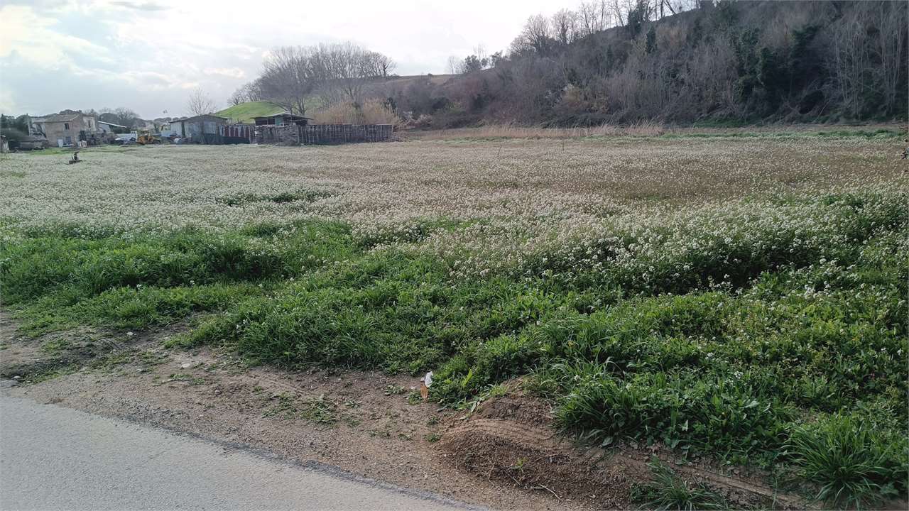 immagine annuncio 1 di 2