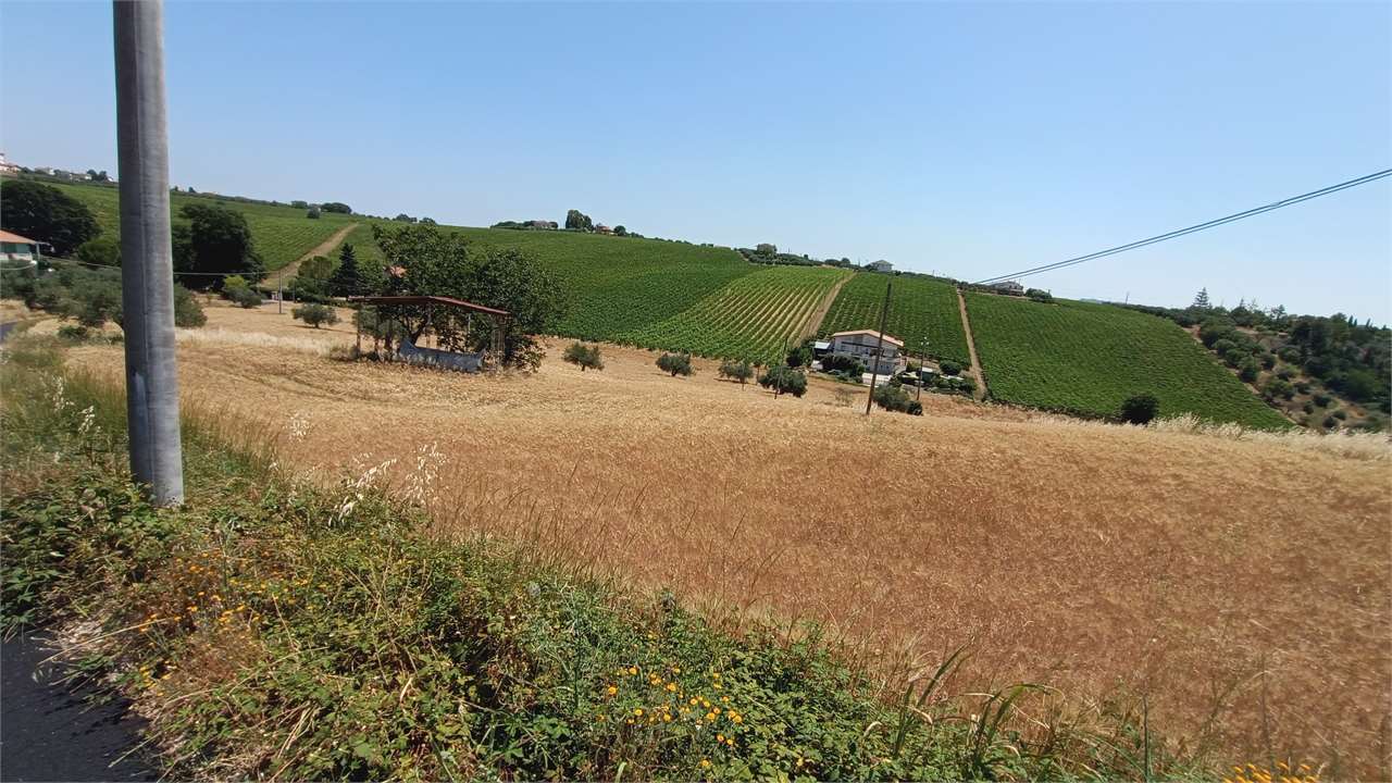 immagine annuncio 1 di 7