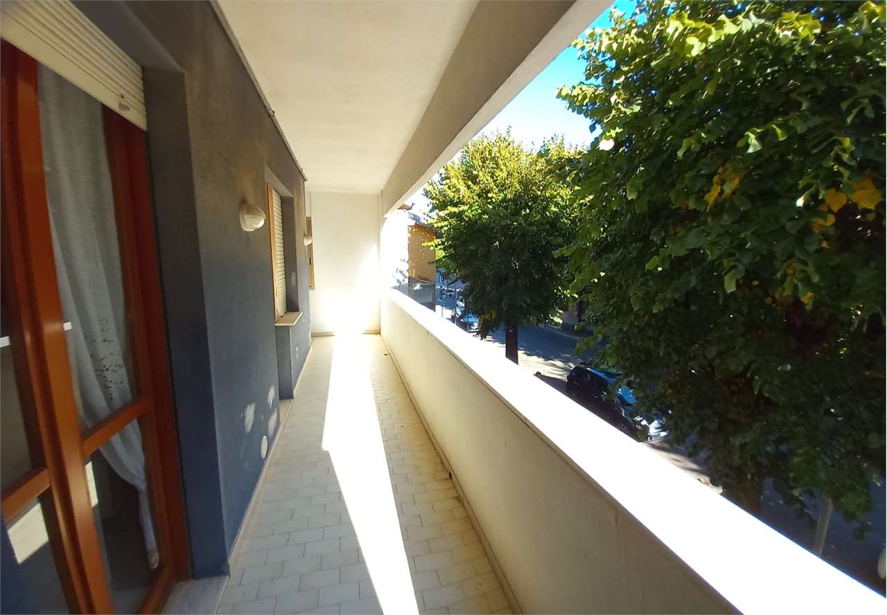 immagine annuncio 8 di 11