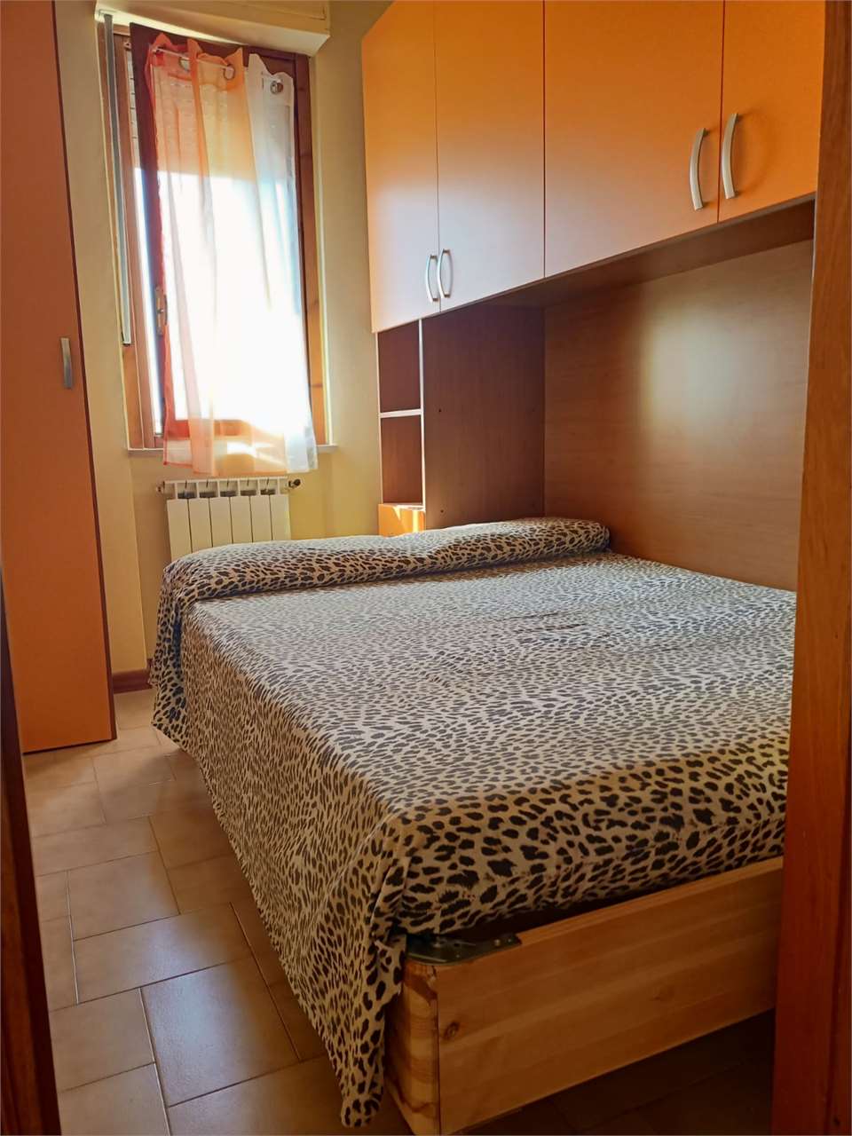 immagine annuncio 7 di 12