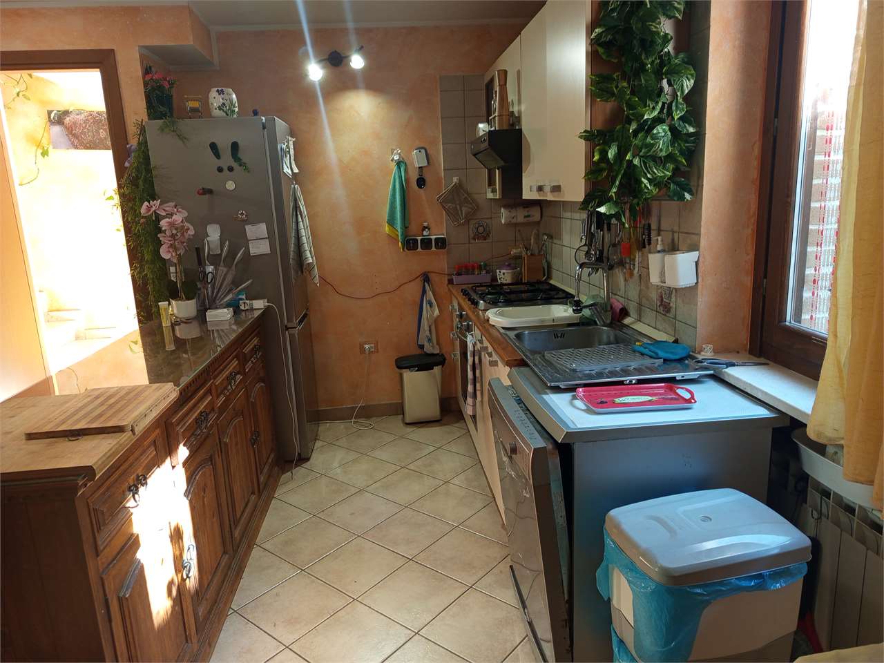 immagine annuncio 5 di 15