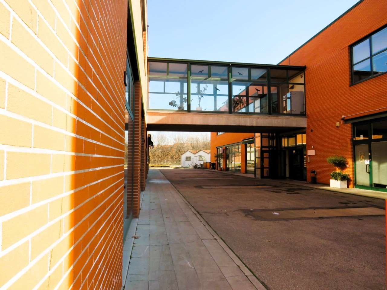 immagine annuncio 12 di 15